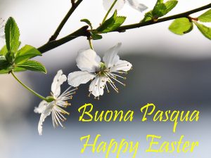 buona-pasqua