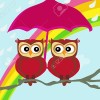 Owls couple under umbrella, autumn rainy day