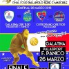 FINAL FOUR COPPA PUGLIA 2016 C MASCHILE