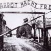 auschwitz